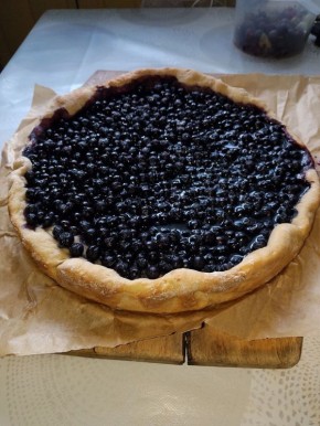 ������� ���������� �����������: ���� ���������� ��������