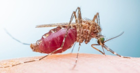 ������ ����� ������� ������������ ������ ��� ��������