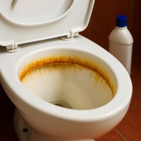 ��� ������� ������ ����������� � �������� �������� ����� �� 40 �����