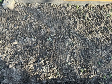 ����� ���������� �����: ����� ������ � ��������������