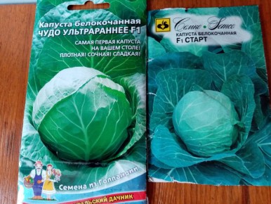 ��� ��������� ������ �������: ������� �������� �������