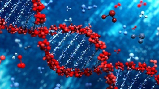 МВД по Республике Северная Осетия-Алания информирует о том, что граждане имеют возможность получения государственной услуги «Добровольная государственная геномная регистрация»
