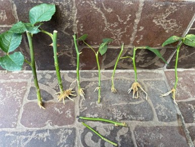 ����� ����� ���������� ���: 7 �� 9 �������� ������� �������� �� �����