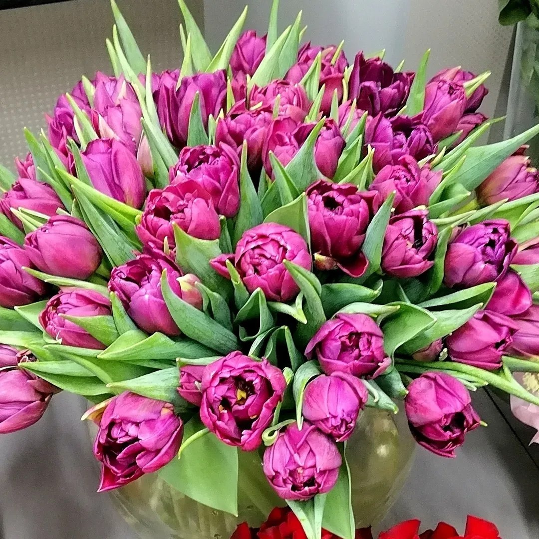 Сестры: Мы разные, но вместе — непорванные связи