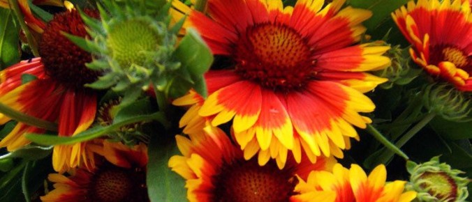 ���� ������������� ������������� ��� ������ ����