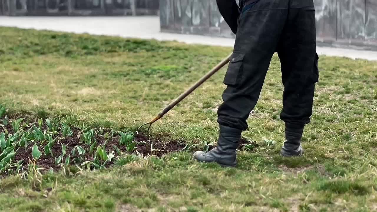 Во Владикавказе начался сезон озеленительных работ