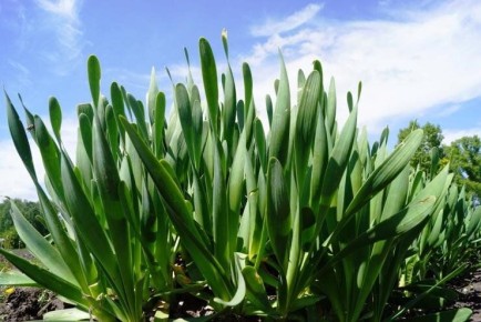 ���-������: ���� � �������