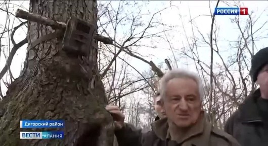 �� ���������� ����������� ��������� ��������� ��������� ������ ����- � ������������� ��������, ��������� � ��������� �����������