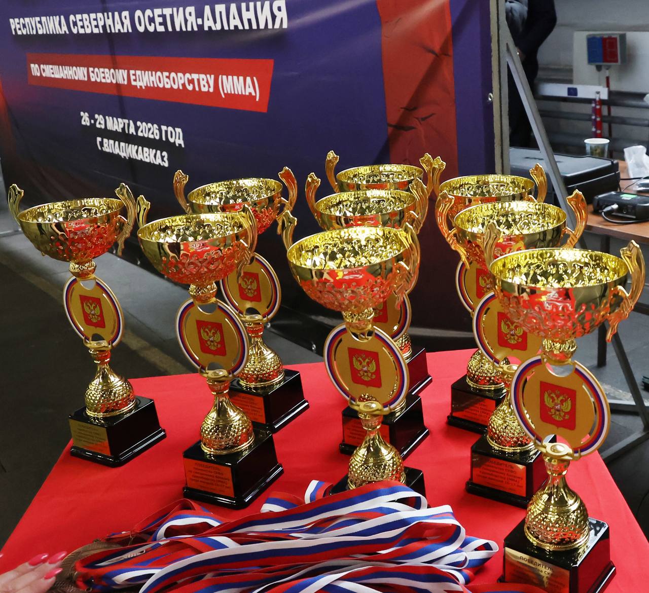 Первенство СКФО по ММА. Во Владикавказе проходит первенство Северо-Кавказского федерального округа по смешанному боевому единоборству (ММА) среди юношей 16–17 лет Первенство СКФО по ММА. Во Владикавказе проходит первенство Северо-Кавказского федерального округа по смешанному боевому единоборству (ММА) среди юношей 16–17 лет