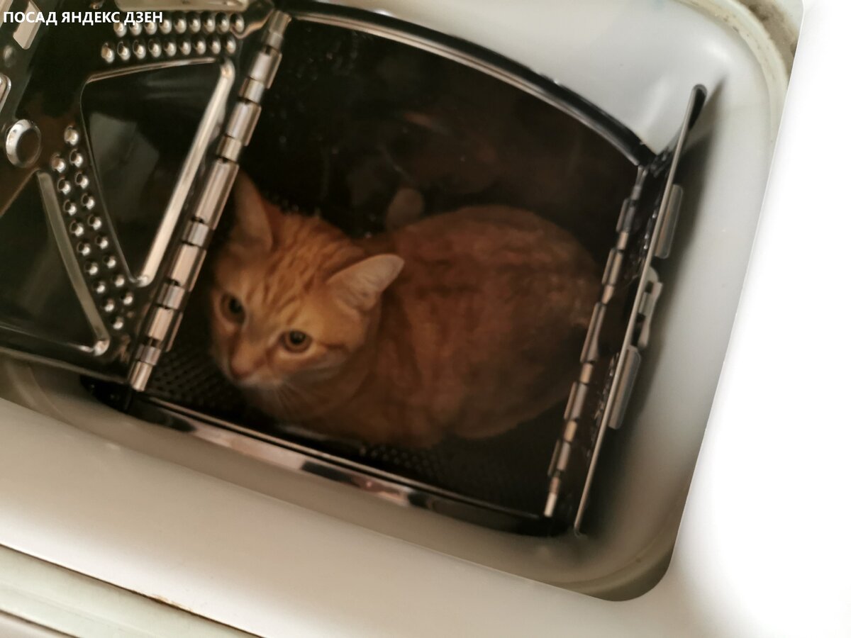 Как стиральная машина превратила дачу в комфортное пространство