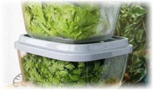 Секреты хранения зелени: как сохранить свежесть на долгое время