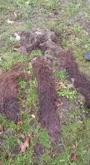 ��������� ������� ��� �������� ���������� ��������, ������� �� ������� �������������