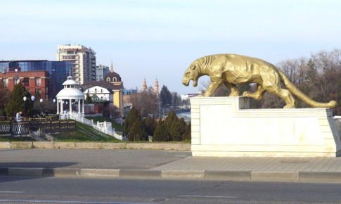 ���� �. �����������. ������ ���� ���� �� ��