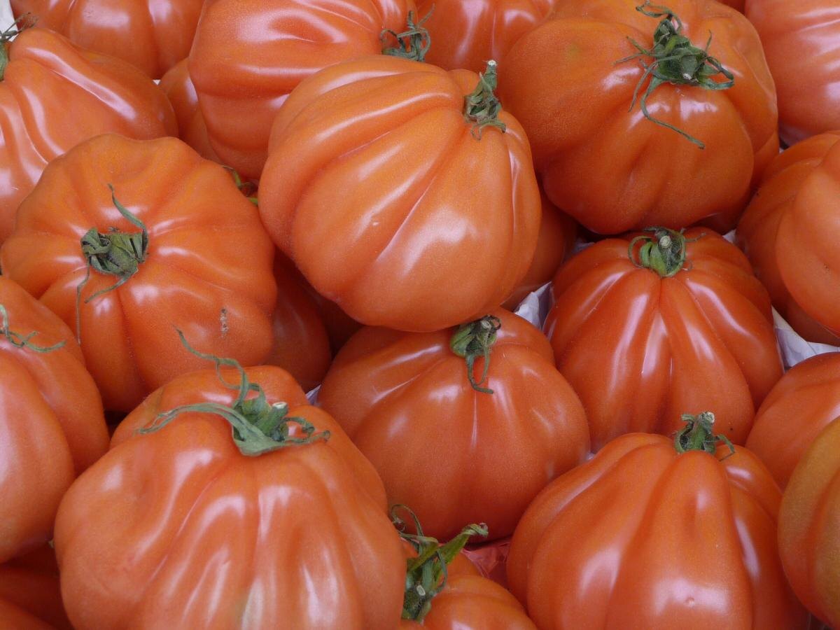 Томаты в восторге: как подготовить идеальную почву для щедрого урожая