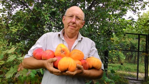 ������ ���������: �������� ����������� �������������