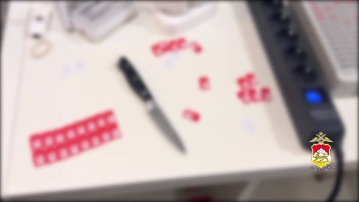 Во Владикавказе задержали юношу за участие в схеме кибермошенничества