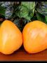 Томат 'Сердце великана оранжевое': как вырастить крупные и сладкие плоды