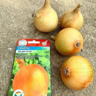 ��� �������: ���������� ����� ��� ������ �������