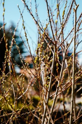 ������ ����, �����������!