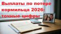 Пенсия по потере кормильца в 2026 году: что нужно знать об изменениях и выплатах