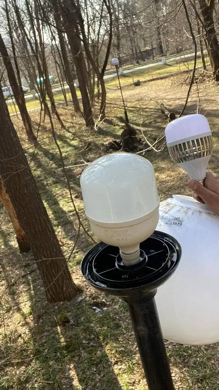 На улицах Владикавказа заменили более 60 осветительных приборов На улицах Владикавказа заменили более 60 осветительных приборов