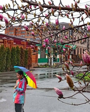 Фото Т. Шеходановой. Не усложняй