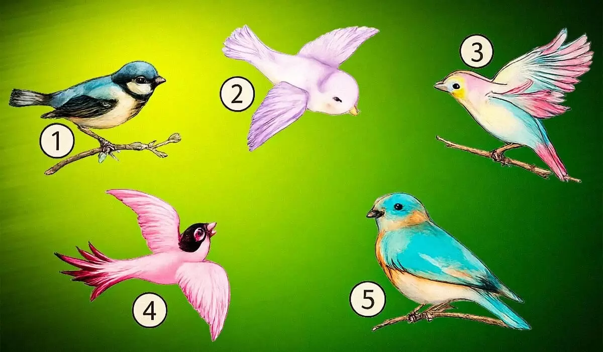 Как ваши предпочтения в птицах отражают вашу любовь к близким