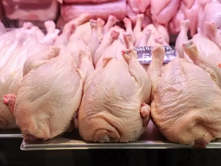Цены на курицу под угрозой роста накануне праздников