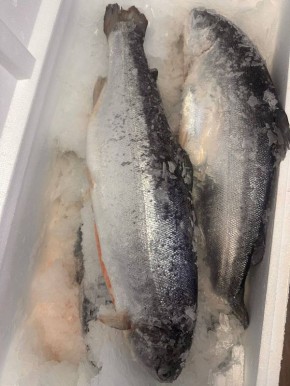 ���� �� ��������� ���� � 8 �����