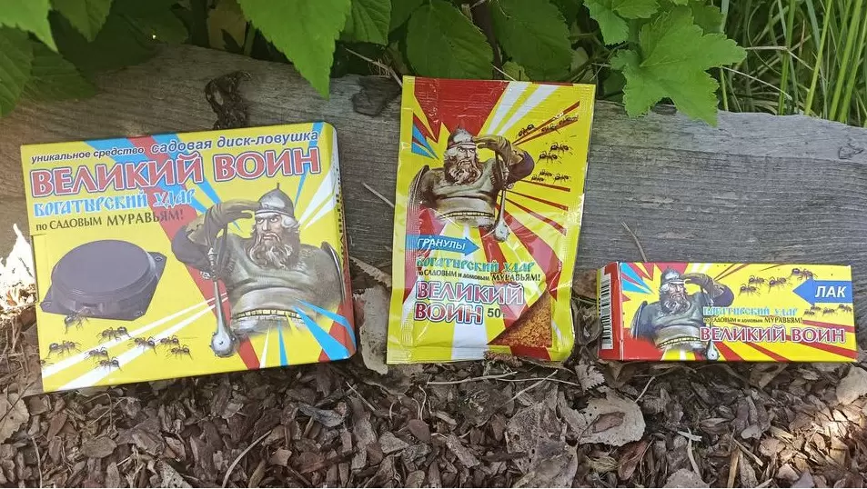 Как эффективно избавиться от муравьев: инновационные решения для огородников