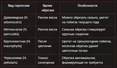 Загадочные соцветия гортензии: причины и решения