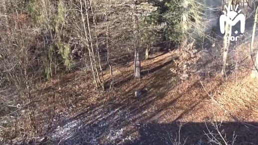 Суд арестовал двоих организаторов нелегального производства пиротехники, которая взорвалась на складе во Владикавказе