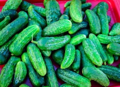 ��������� ������: 8 ������������ ������ ��� ������ �������