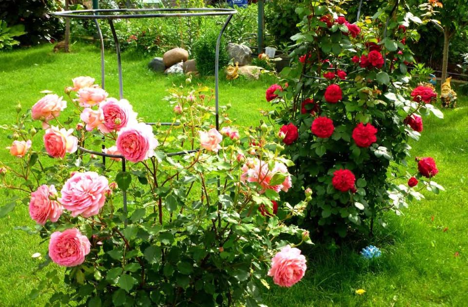 ����: ����� ������ � ����� � ����� ����������� ��� �����������