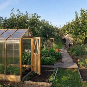 ��� �� �������� ������: ������ ��� ��������� ������������� � �������