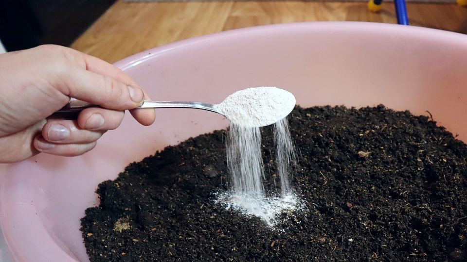 ������������� ������ � ���������� ����� ��� �������