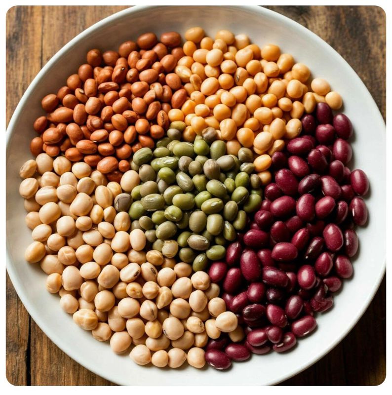 �������: ������ �������� ������ � ��������� ������������