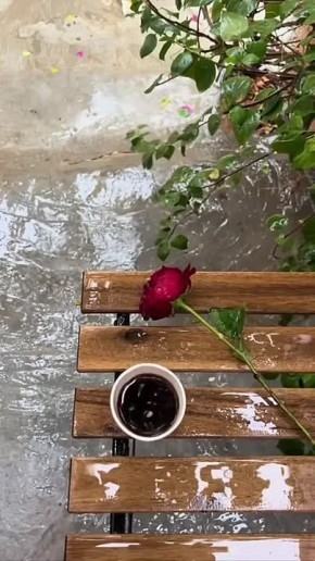 ������ ����, ������!. �� ������������ ��������� �������� ������, ����������� ������� 25% ����������� +6� +17� �15-� ������� ������ ���� ����������� ��� � ������������ ������� ������ ! @region15_ru