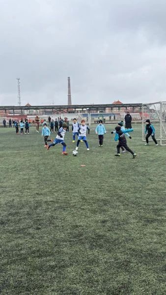 ���� ��������� ���������� �������� ������� ������� 6:2