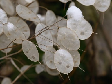 ���������� �������� ����: ������� - ������������� �������� ��� ������� ���������