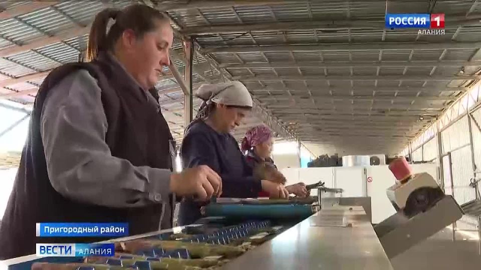 ����� ����� ������ ����� �������� � �������� ������