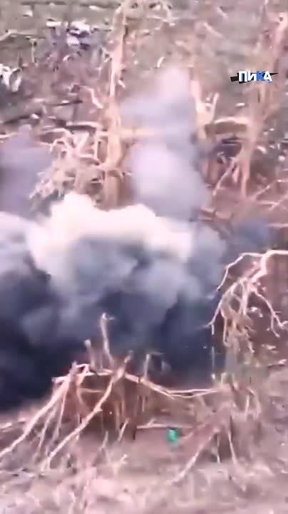 �������-��������� ���� ��������!