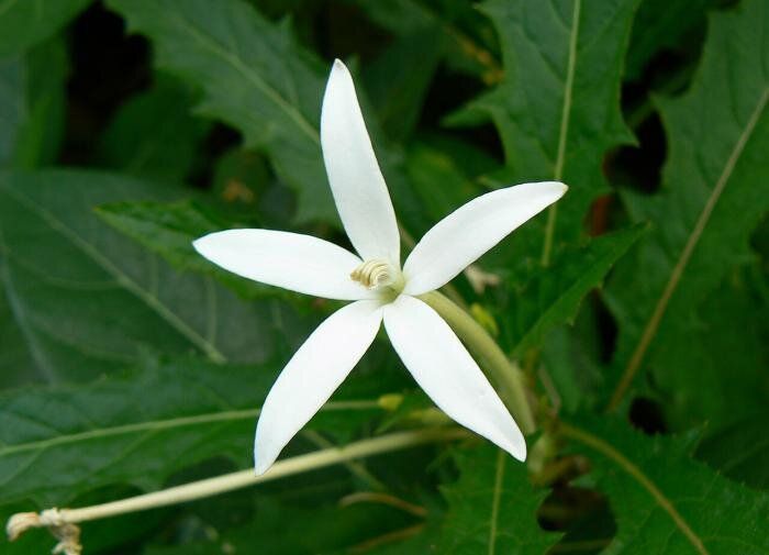 ���������: �������� � ������������� ������ ��� ������ ����