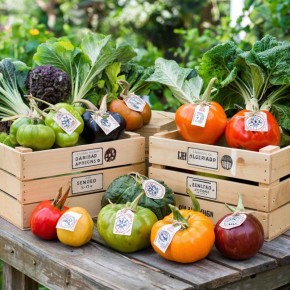 �������� ����� ��� �������� ������ ������ ���������� ��� � ����������� ������