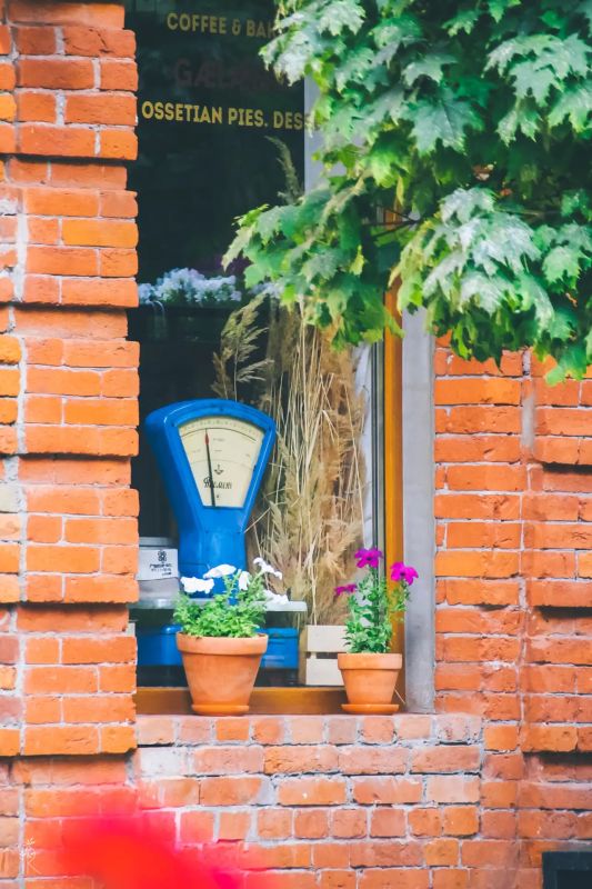 ������ ����, �����������!