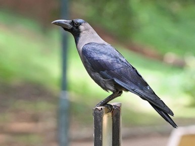 ��� ���������� �������� ������ �� ���������� �����