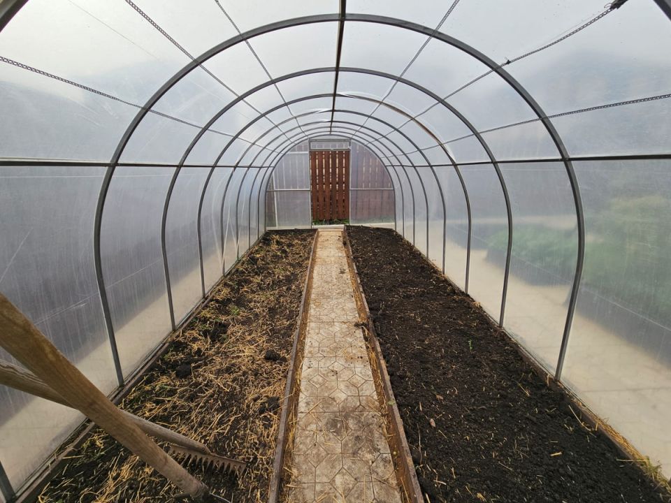 ��� ��������� ����������� ������� � ����: 6 ������ ����� ��� ��������� ������