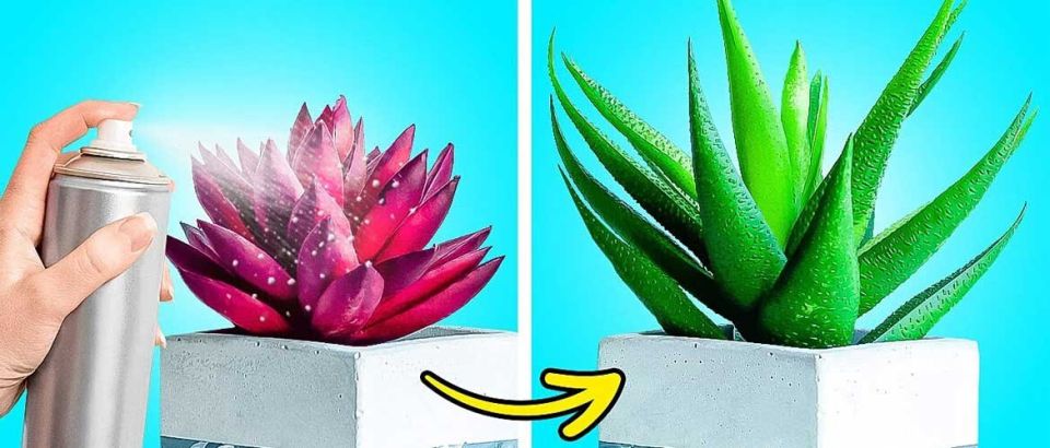 ��������� ������: ��� ������ ����� � ����� ����� �������� ��� ���