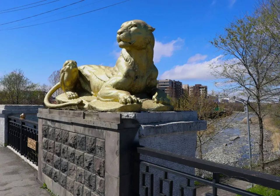 ���� �. �����������. ��� ���������� ��� ����� ���� ���������