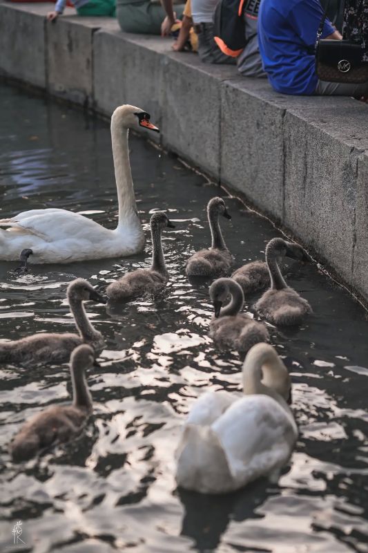 ������ ����, �����������!